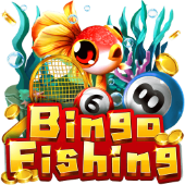 Bingo Fishing at Jilino1