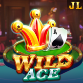 Wild Ace at Jilino1